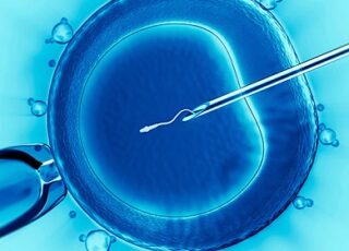 Intracytoplasmic Sperm Microinjection lima peru